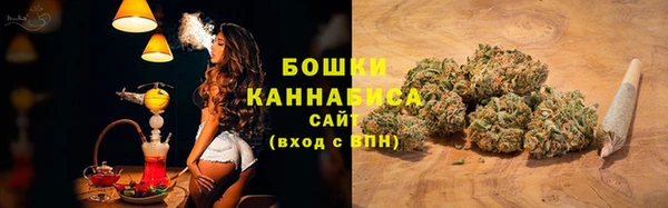 МДПВ Михайлов