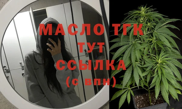 МДПВ Михайлов