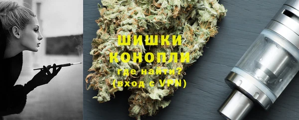 МДПВ Михайлов