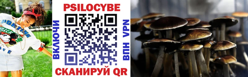 Купить где  Чухлома  Псилоцибиновые грибы Cubensis 